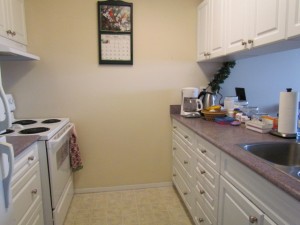 new style kitchen